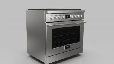 36" Fulgor Milano Pro-Style Dual Fuel Range - F4PDF366S1