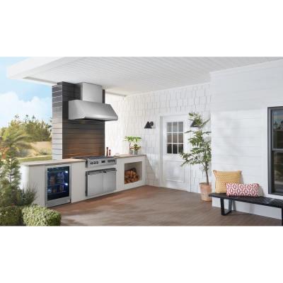 42" Best Pro-Style Outdoor Range Hood in Stainless Steel - WPD38I42SB