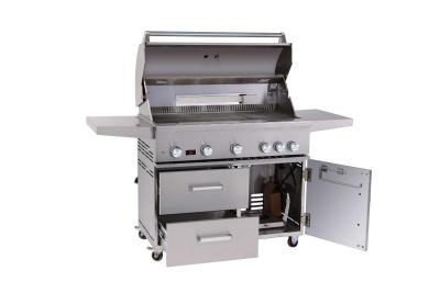 27" Bonfire Freestanding 5-Burner Natural Gas Grill - CBF500CDC-NG