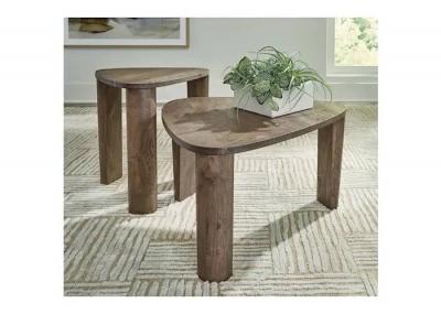 Signature Design by Ashley Reidport Accent Table (Set of 2) - A4000604