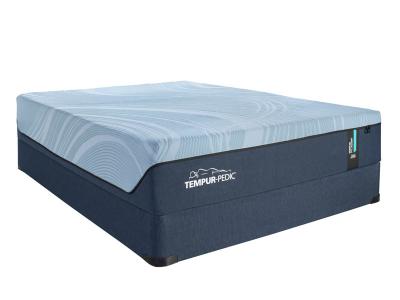 Tempur-Pedic 12" Profile Medium Mattress in Queen Size - Tempur-ProAlign Medium (Q)