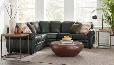 Palliser 4-Seat Bumper Sectional - Viceroy Sectionals